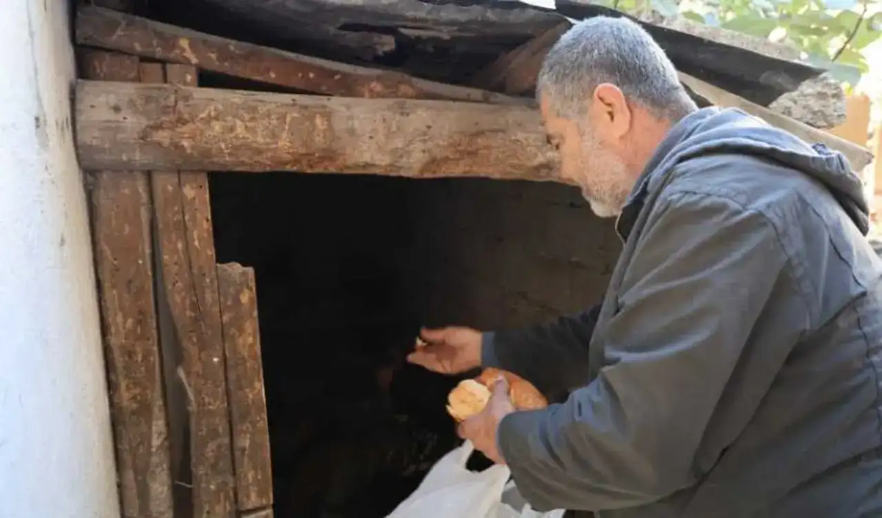 Adana’da Alışılmadık Pazar: Cadde Cadde Gezen Hindiler Görücüye Çıkıyor! 4